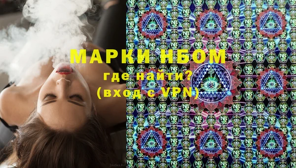 твердый Новодвинск