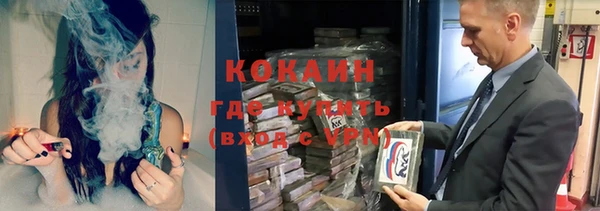 стафф Новозыбков