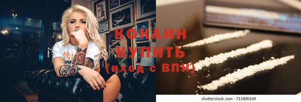 твердый Новодвинск