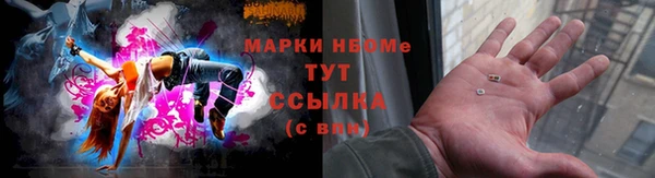 твердый Новодвинск