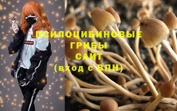 стафф Новозыбков
