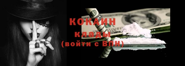 твердый Новодвинск