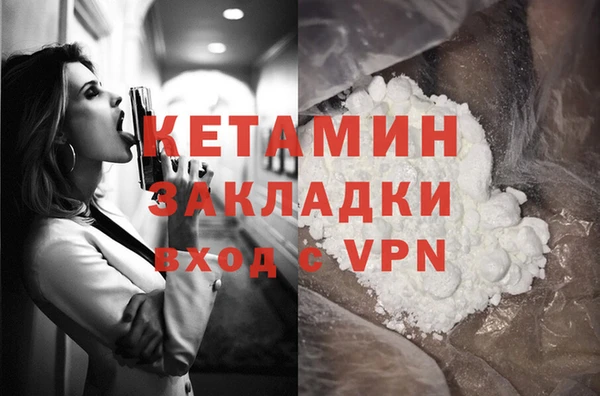 стафф Новозыбков