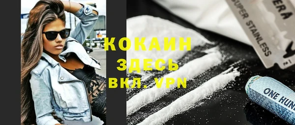 стафф Новозыбков