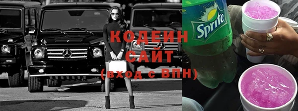 твердый Новодвинск