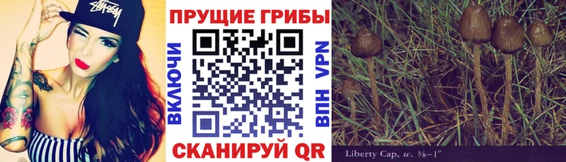 MEGA вход  Железногорск  Псилоцибиновые грибы Magic Shrooms 
