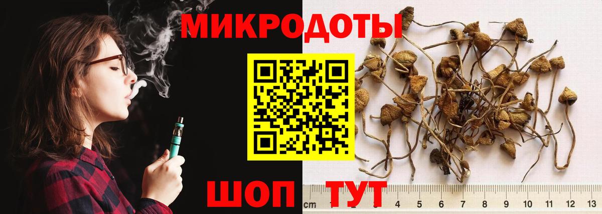 Псилоцибиновые грибы GOLDEN TEACHER Железногорск