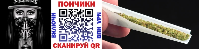 Бошки марихуана сатива  как найти наркотики  кракен ССЫЛКА  Железногорск 